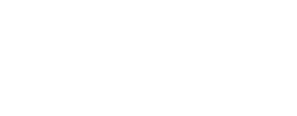 asesor-logistico